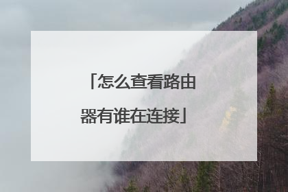 怎么查看路由器有谁在连接