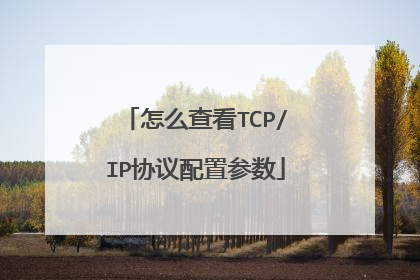 怎么查看TCP/IP协议配置参数