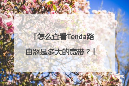 怎么查看Tenda路由器是多大的宽带?