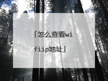 怎么查看wifiip地址