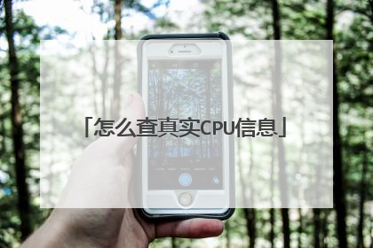 怎么查真实CPU信息