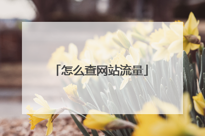 怎么查网站流量
