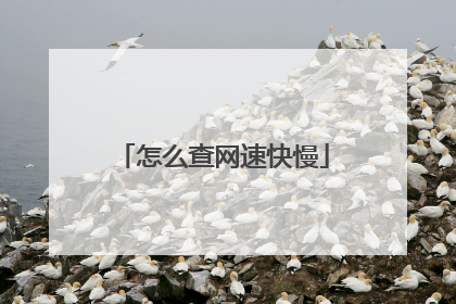 怎么查网速快慢