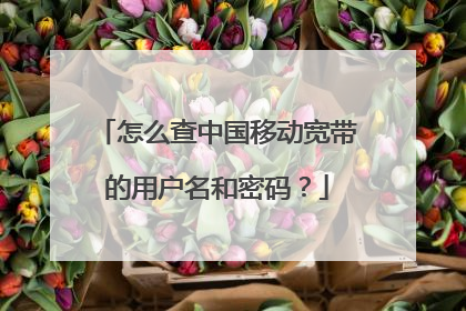怎么查中国移动宽带的用户名和密码？