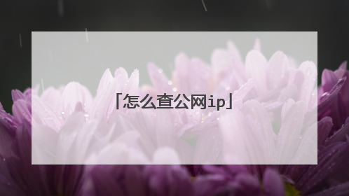 怎么查公网ip