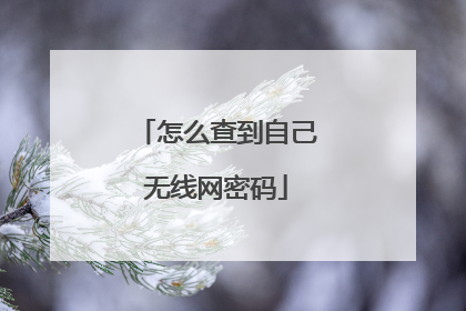 怎么查到自己无线网密码