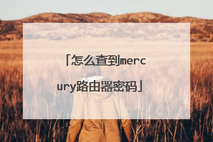 怎么查到mercury路由器密码