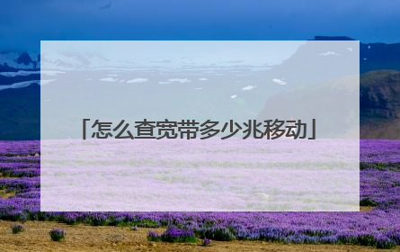 怎么查宽带多少兆移动