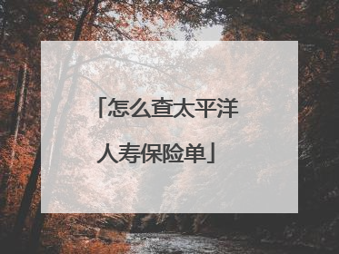 怎么查太平洋人寿保险单