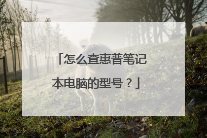 怎么查惠普笔记本电脑的型号？