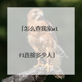 怎么查我家wifi连接多少人