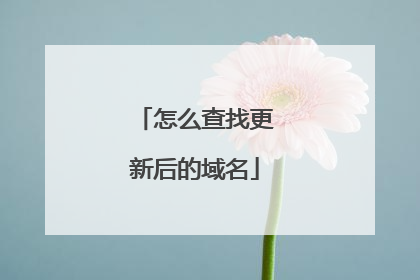 怎么查找更新后的域名