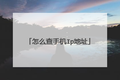 怎么查手机Ip地址