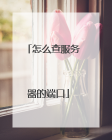 怎么查服务器的端口