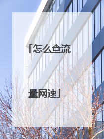 怎么查流量网速
