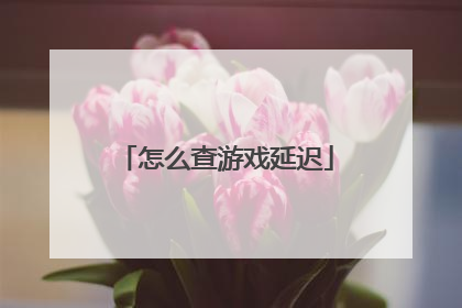 怎么查游戏延迟