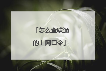 怎么查联通的上网口令