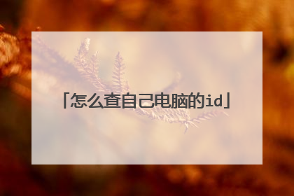 怎么查自己电脑的id