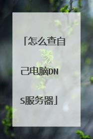 怎么查自己电脑DNS服务器