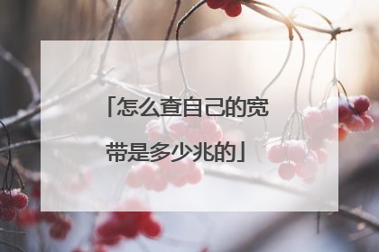 怎么查自己的宽带是多少兆的