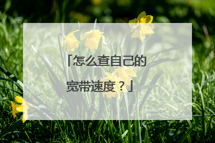 怎么查自己的宽带速度？