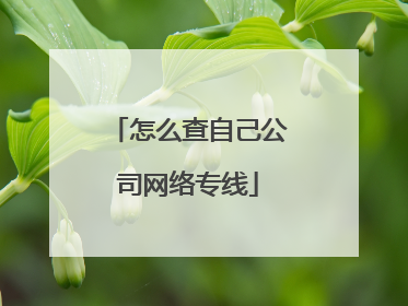 怎么查自己公司网络专线