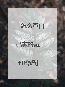 怎么查自己家的wifi密码