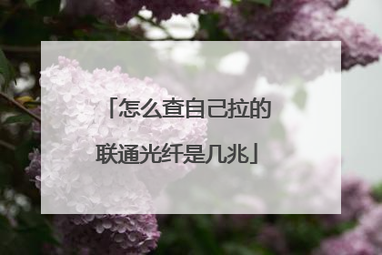 怎么查自己拉的联通光纤是几兆