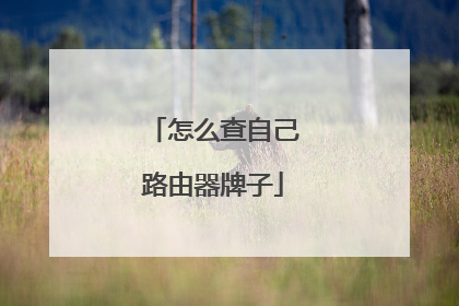 怎么查自己路由器牌子