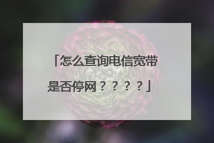 怎么查询电信宽带是否停网????