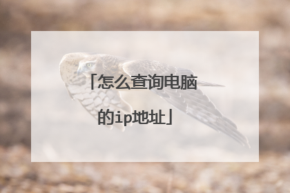 怎么查询电脑的ip地址