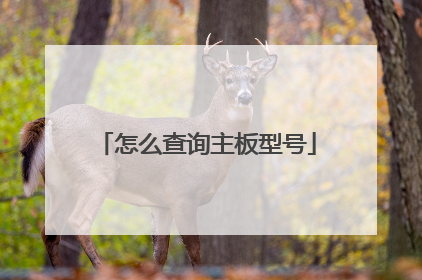 怎么查询主板型号