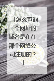 怎么查询一个网址的域名是在在那个网络公司注册的?