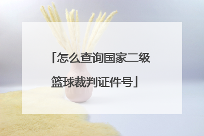 怎么查询国家二级篮球裁判证件号