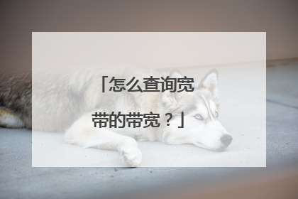 怎么查询宽带的带宽？