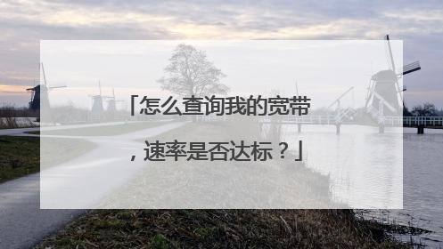 怎么查询我的宽带,速率是否达标?