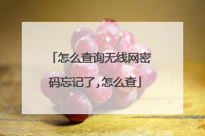 怎么查询无线网密码忘记了,怎么查