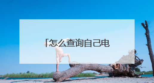 怎么查询自己电脑的ip地址