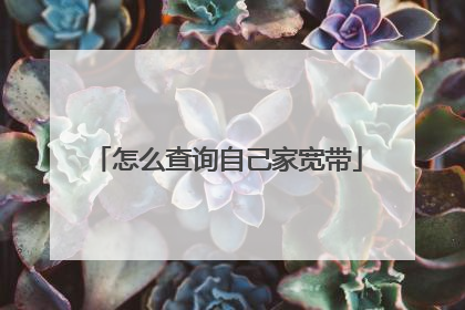 怎么查询自己家宽带