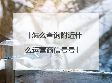 怎么查询附近什么运营商信号号