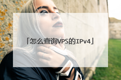 怎么查询VPS的IPv4