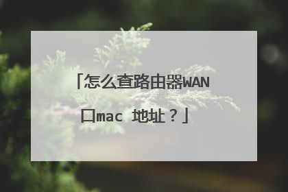 怎么查路由器WAN口mac 地址?