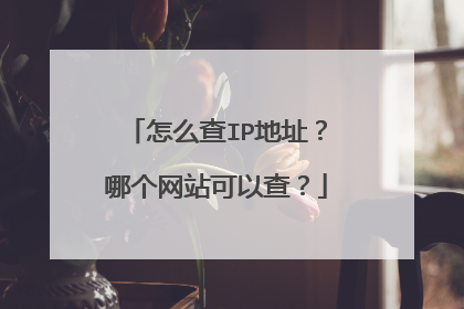 怎么查IP地址？哪个网站可以查？