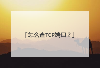 怎么查TCP端口？