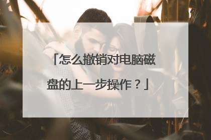 怎么撤销对电脑磁盘的上一步操作?