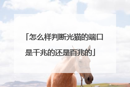 怎么样判断光猫的端口是千兆的还是百兆的