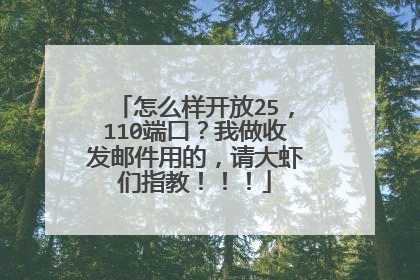 怎么样开放25，110端口？我做收发邮件用的，请大虾们指教！！！