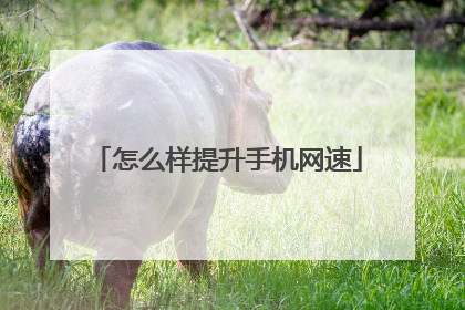 怎么样提升手机网速