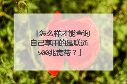 怎么样才能查询自己享用的是联通500兆宽带?