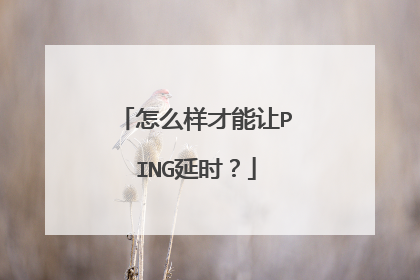 怎么样才能让PING延时？